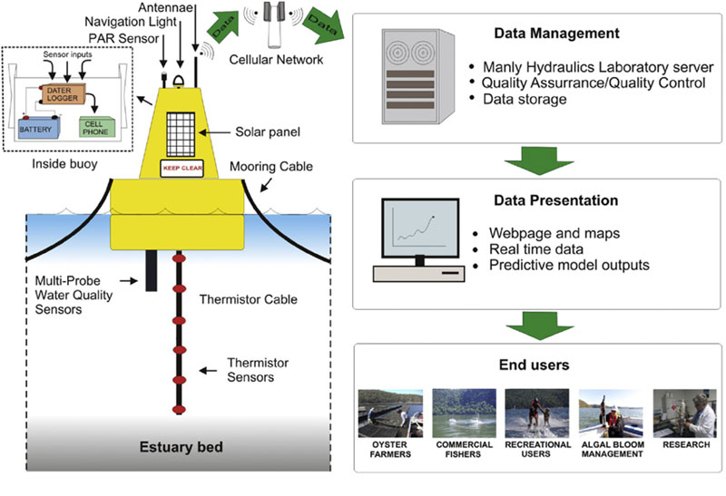 conceptual diagram of estuary probes