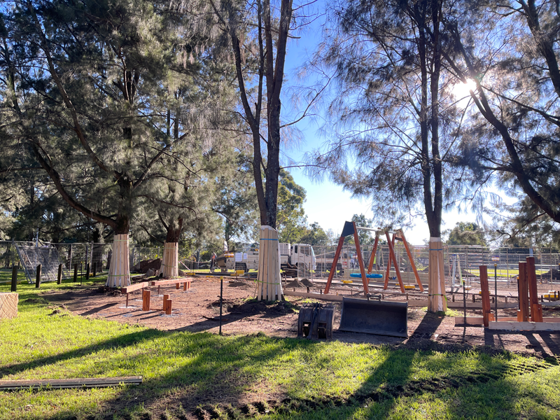 Mills Park update June 2025