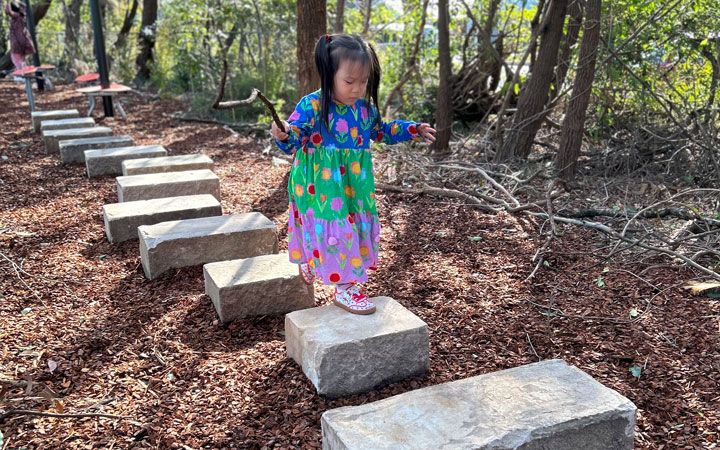 Berry Park stepping stones