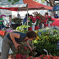 Hornsby mall markets