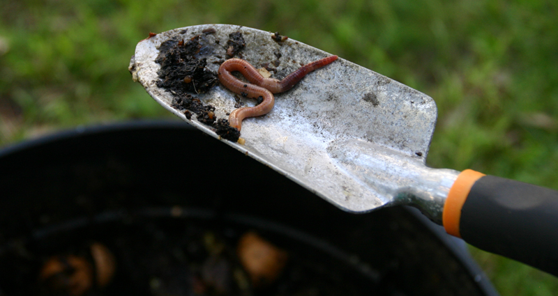 Compost & Worm Farming Thumbnail