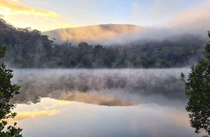 <strong>Equal First © Petra Holland – Berowra Creek - Crosslands</strong><br>Misty winter mornings are magical down at Crosslands and every morning you go down there the atmosphere is different. This morning had the perfect light and mist for a good photo.