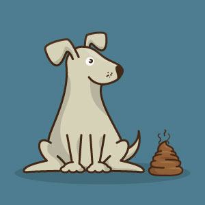 dog and poo