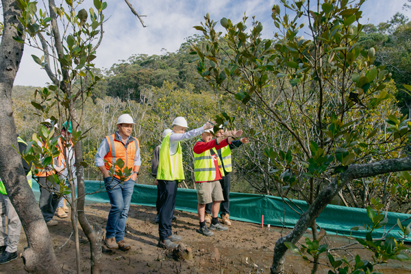 Matt Kean, Mayor Ruddock, Councillors, Staff inspect site