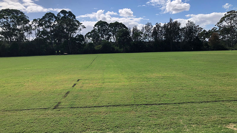 park grass with path