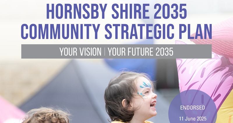 Community Strategic Plan cover