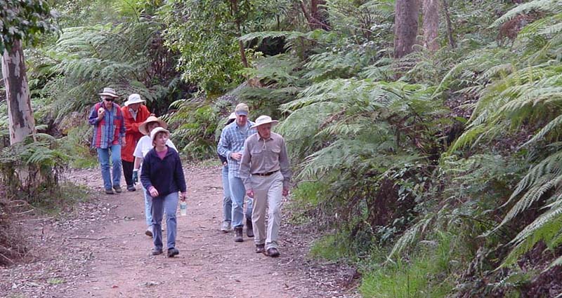 bushwalk