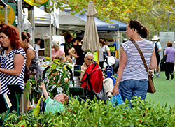 Hornsby Shire markets