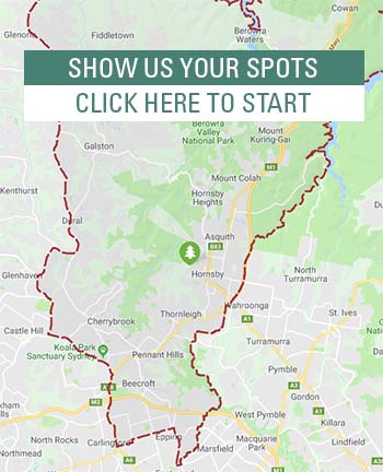 sustainabilty strategy interactive map