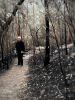 <p>Category winner - Senior</p> <p>Julie Debray</p> <p>When will the pandemic end</p> <p>A burnt bush landscape. A bleak location showing blackened trees, burnt foliage, a person wearing dark clothing and with the inevitable mask hanging from his hand.  When will the lockdown end so that the enforced isolation from family and friends can be lifted and life return to a more normal state?</p>