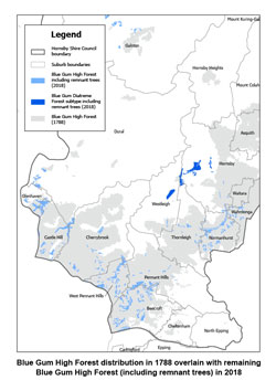 Blue Gum High Forest Distribution Map