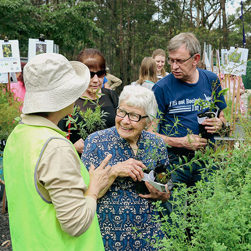 group in garden with plants