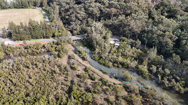Site of Boardwalk Construction, Brooklyn NSW