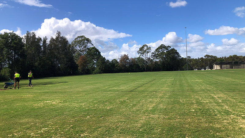 park grass with path
