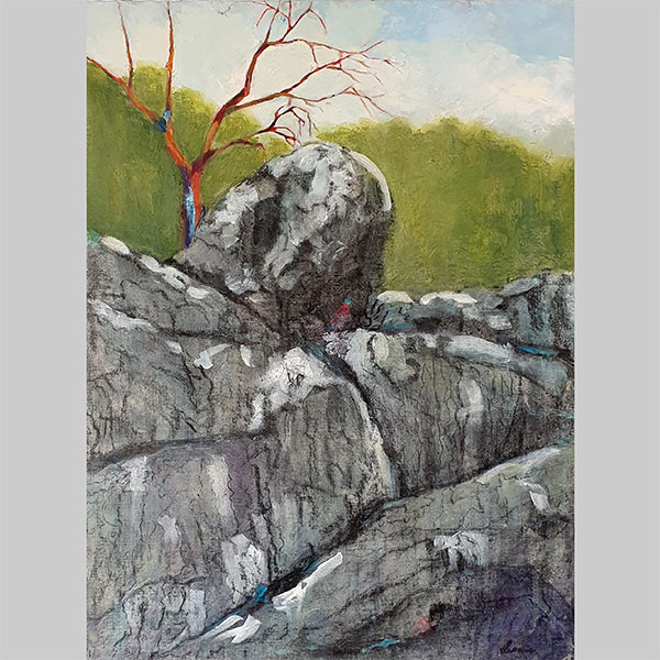 Balls Head Terrain