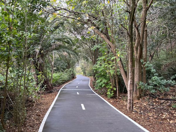 Shared path through bushland that links with the Kangaroo Point Boardwalk