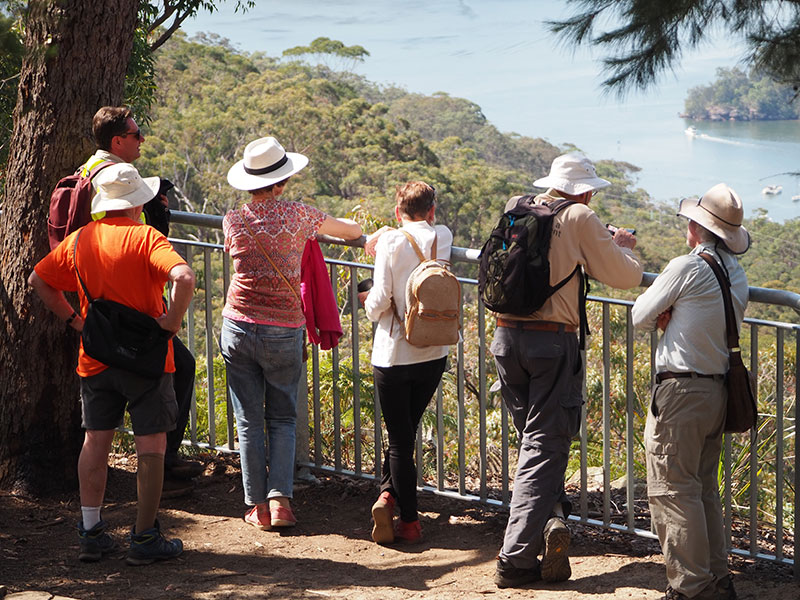 bushwalker group