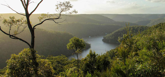 Berowra Valley National Park