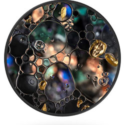 HAP19 Category Winner–Digital Still–Janet-Tavener Seedless #7