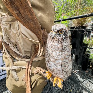 Native Plant Giveaways