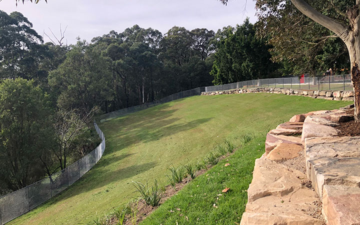 path and play area