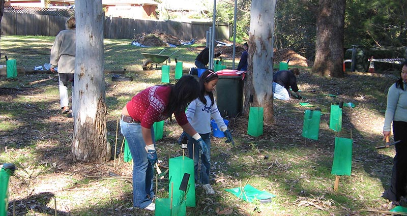 Tree planting