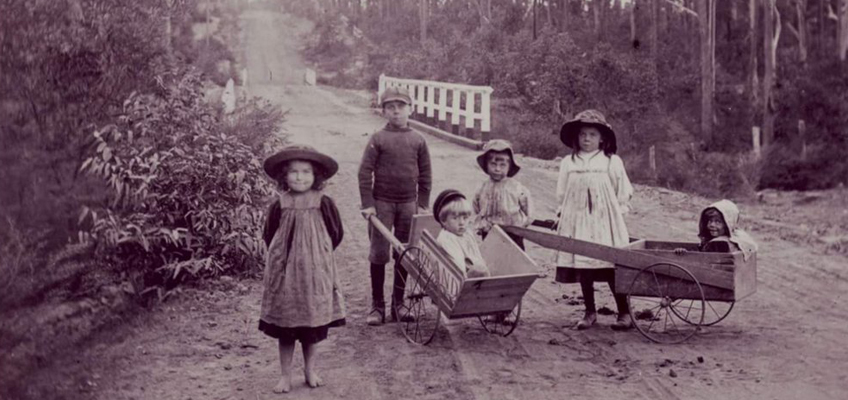 family history hornsby shire council my kids chart