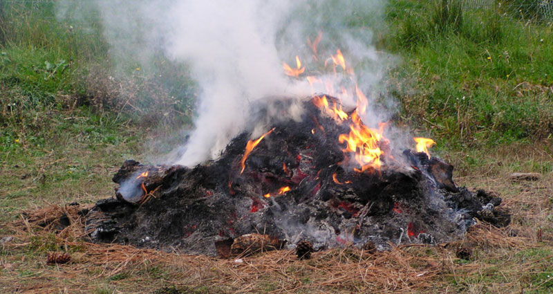 Approval to Burn a Pile of Vegetation Thumbnail