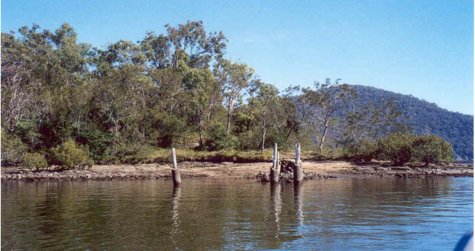 estuary river with bank in background