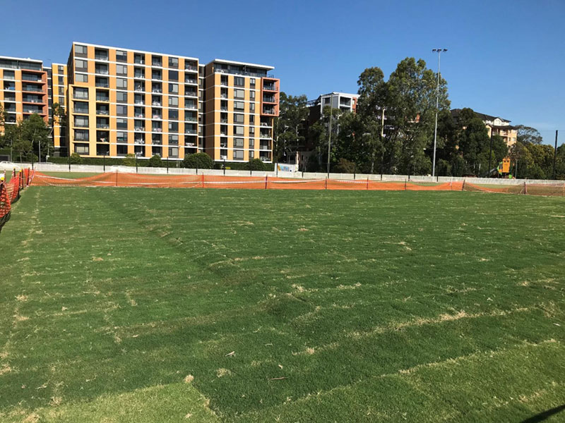 freshly laid turf on oval