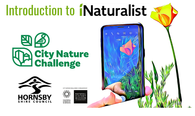 introduction to iNaturalist - city nature challenge
