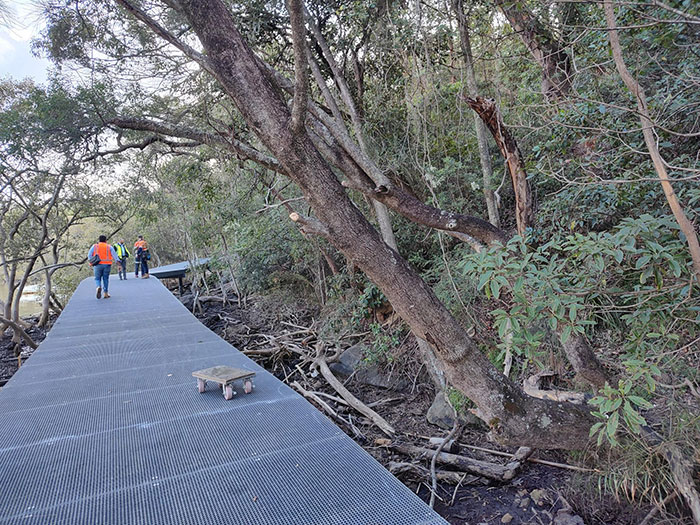winding boardwalk path
