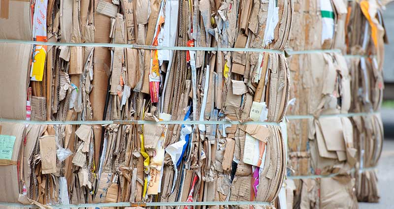 paper waste
