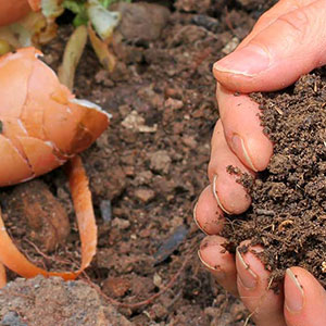 hands with soil and eggshells