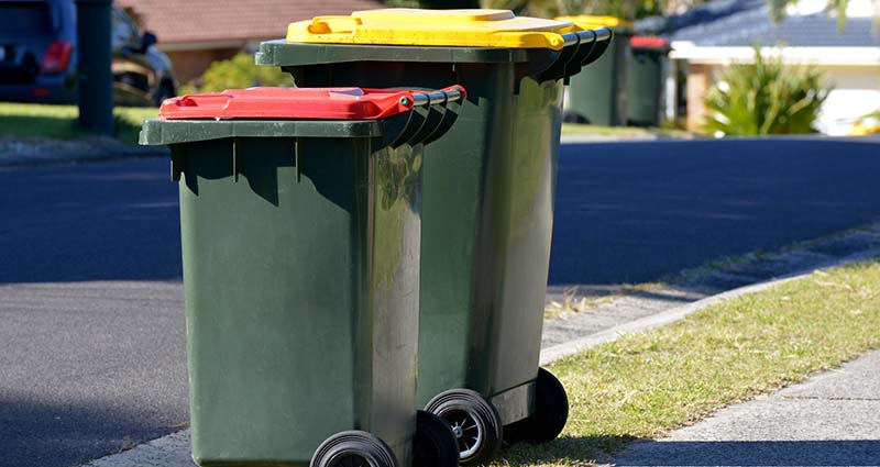 weekly bin collection