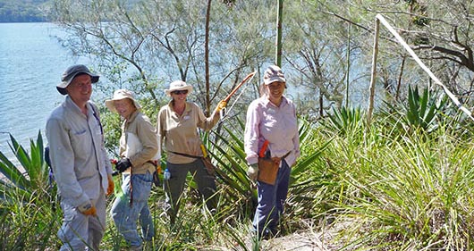 Floating Landcare