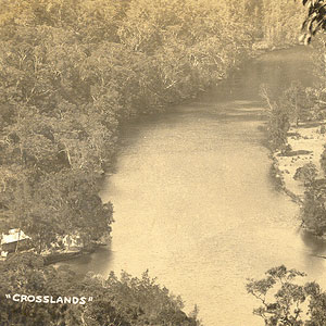 Crosslands ridge bushwalk