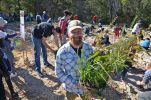 Rofe Park tree planting day - July 2018