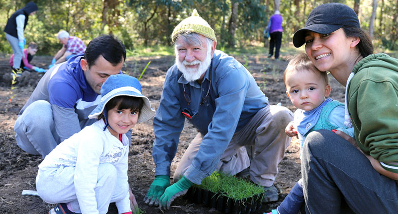 National_tree_day-800px.jpg