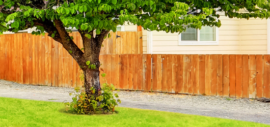 Wooden fence