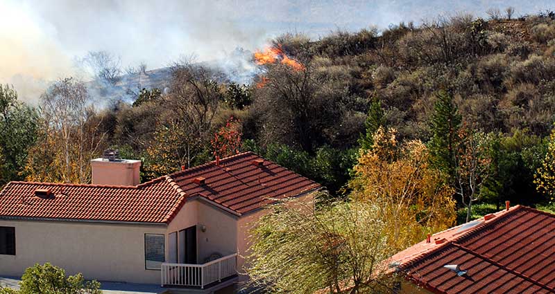 bushfire preparedness