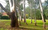 New Farm Road Reserve Playground