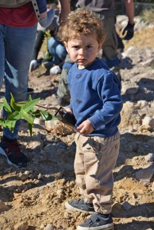 Rofe Park tree planting day - July 2018