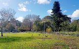 Leith Rd Playground