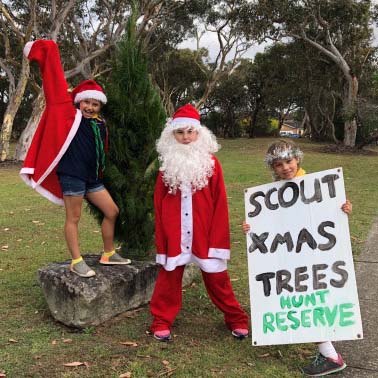 Scout Xmas Tree Sale