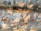 <strong>Angophora in shadows - Sue Patterson</strong><p>I love the way these shadows go from crisp edges from leaves close to the tree to soft, hazy edges from leaves further away. And all of this against the incredibly smooth bark of the tree, with the most wonderful colours and textures from different bark layers and resin. How lucky we are to live near such natural beauty in the Australian bush. Sue</p>