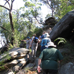 Lorna Pass & Scout Creek bushwalk