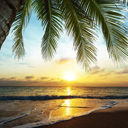 sunset over beach