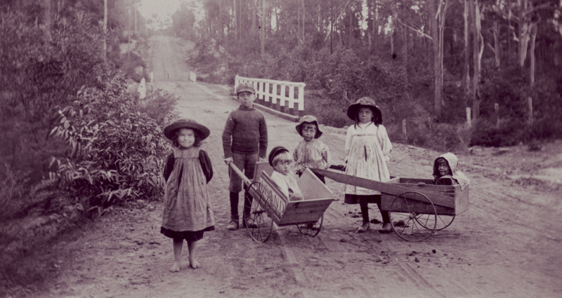 Family History Thumbnail