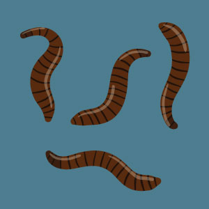leeches